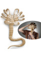 PELUCHE FACEHUGGER ALIEN